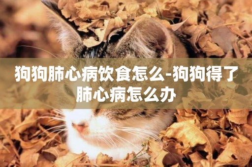 狗狗肺心病飲食怎么-狗狗得了肺心病怎么辦