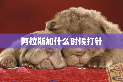 阿拉斯加什么時候打針