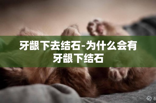 牙齦下去結石-為什么會有牙齦下結石