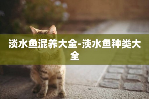 淡水魚混養大全-淡水魚種類大全