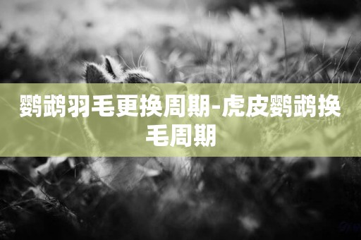 鸚鵡羽毛更換周期-虎皮鸚鵡換毛周期