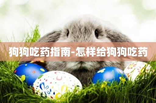 狗狗吃藥指南-怎樣給狗狗吃藥