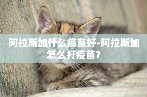 阿拉斯加什么疫苗好-阿拉斯加怎么打疫苗？
