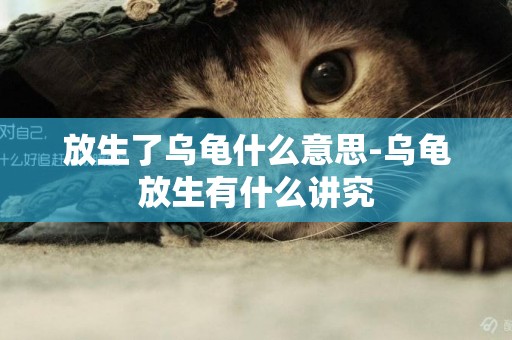 放生了烏龜什么意思-烏龜放生有什么講究