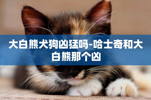 大白熊犬狗兇猛嗎-哈士奇和大白熊那個兇