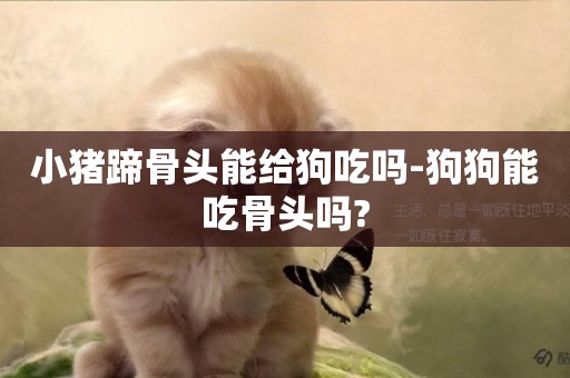 小豬蹄骨頭能給狗吃嗎-狗狗能吃骨頭嗎?