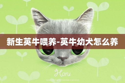 新生英牛喂養-英牛幼犬怎么養