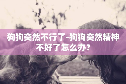 狗狗突然不行了-狗狗突然精神不好了怎么辦？