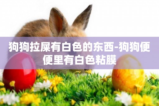 狗狗拉屎有白色的東西-狗狗便便里有白色粘膜