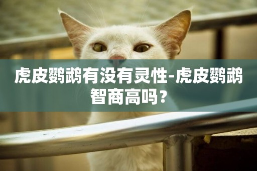 虎皮鸚鵡有沒有靈性-虎皮鸚鵡智商高嗎？