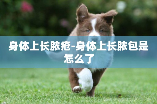 身體上長膿瘡-身體上長膿包是怎么了