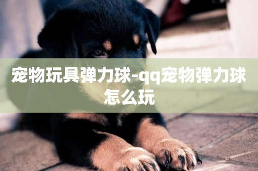 寵物玩具彈力球-qq寵物彈力球怎么玩