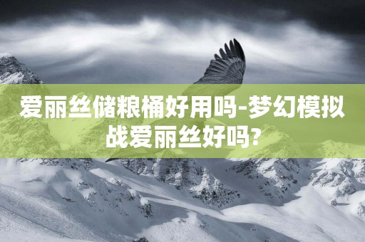 愛麗絲儲糧桶好用嗎-夢幻模擬戰愛麗絲好嗎?