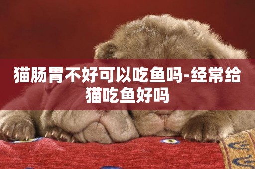 貓腸胃不好可以吃魚嗎-經常給貓吃魚好嗎