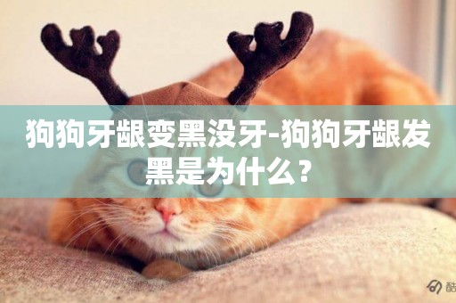 狗狗牙齦變黑沒牙-狗狗牙齦發黑是為什么？