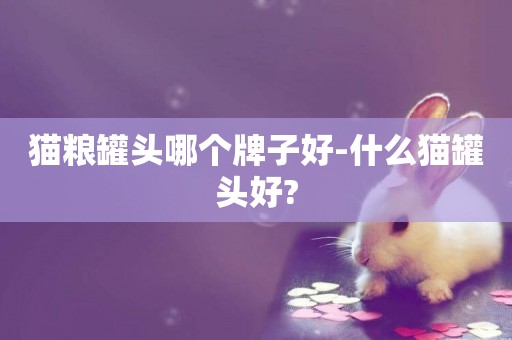 貓糧罐頭哪個牌子好-什么貓罐頭好?