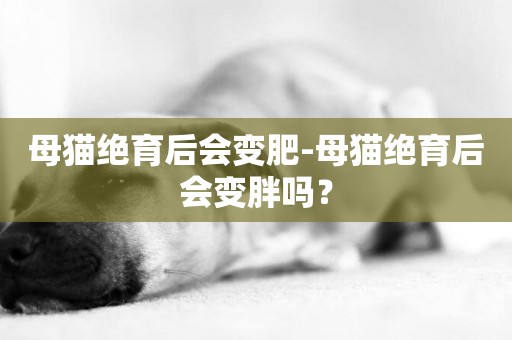母貓絕育后會變肥-母貓絕育后會變胖嗎？