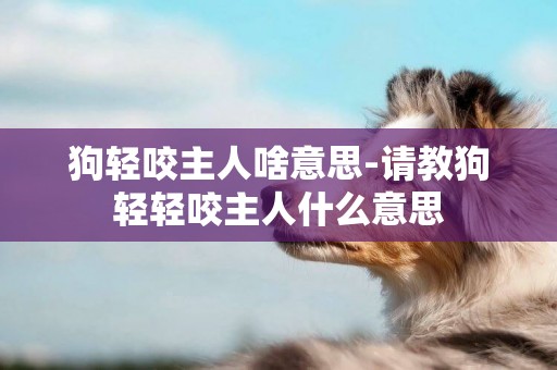 狗輕咬主人啥意思-請教狗輕輕咬主人什么意思