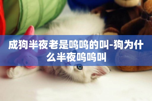 成狗半夜老是嗚嗚的叫-狗為什么半夜嗚嗚叫