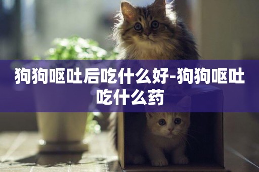 狗狗嘔吐后吃什么好-狗狗嘔吐吃什么藥