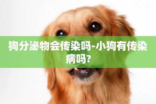 狗分泌物會傳染嗎-小狗有傳染病嗎?