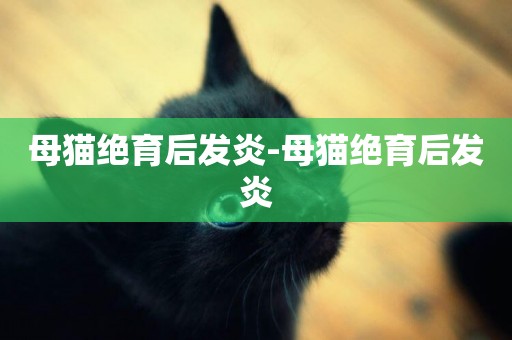 母貓絕育后發炎-母貓絕育后發炎