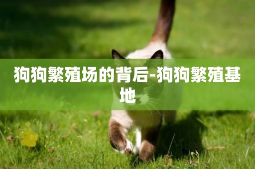 狗狗繁殖場的背后-狗狗繁殖基地