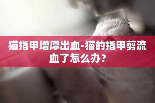 貓指甲增厚出血-貓的指甲剪流血了怎么辦？