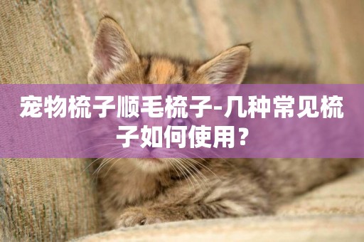 寵物梳子順毛梳子-幾種常見梳子如何使用？