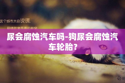 尿會腐蝕汽車嗎-狗尿會腐蝕汽車輪胎？