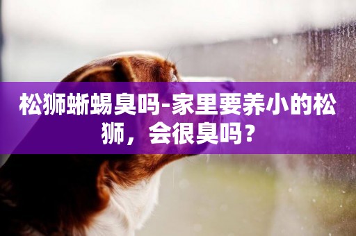 松獅蜥蜴臭嗎-家里要養小的松獅，會很臭嗎？