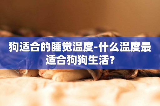 狗適合的睡覺溫度-什么溫度最適合狗狗生活？