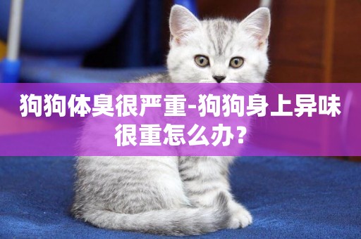 狗狗體臭很嚴重-狗狗身上異味很重怎么辦？