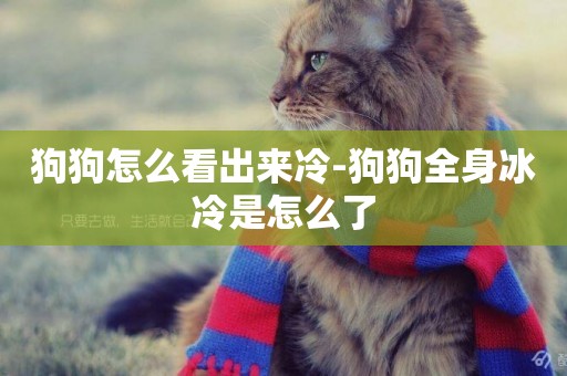 狗狗怎么看出來冷-狗狗全身冰冷是怎么了