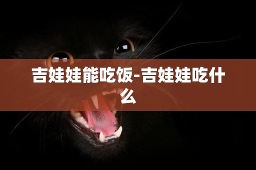吉娃娃能吃飯-吉娃娃吃什么
