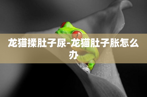 龍貓揉肚子尿-龍貓肚子脹怎么辦