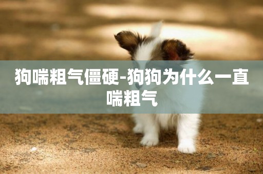 狗喘粗氣僵硬-狗狗為什么一直喘粗氣