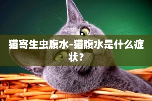 貓寄生蟲腹水-貓腹水是什么癥狀？