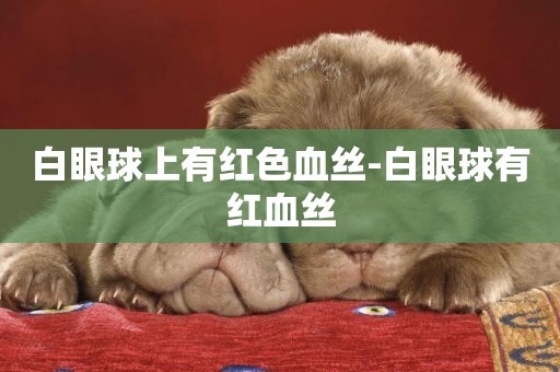 白眼球上有紅色血絲-白眼球有紅血絲