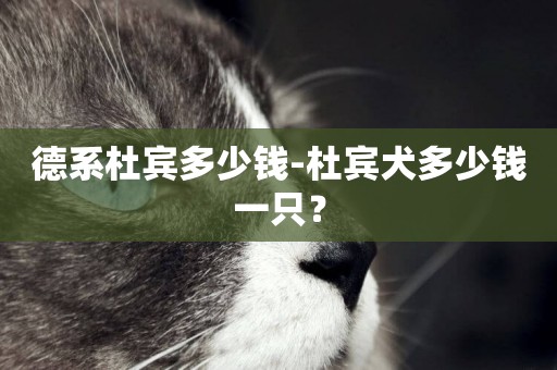 德系杜賓多少錢-杜賓犬多少錢一只？