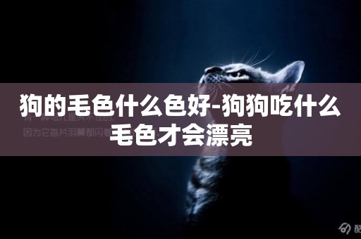 狗的毛色什么色好-狗狗吃什么毛色才會漂亮
