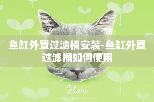 魚缸外置過濾桶安裝-魚缸外置過濾桶如何使用
