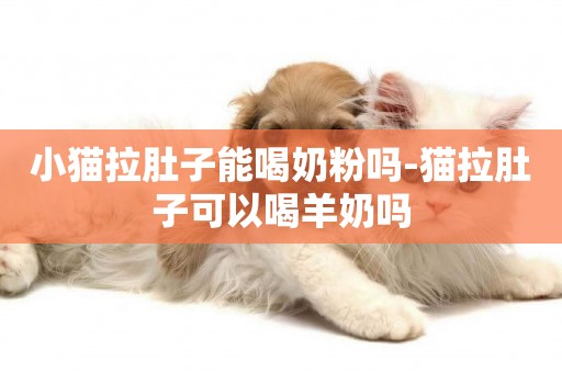 小貓拉肚子能喝奶粉嗎-貓拉肚子可以喝羊奶嗎