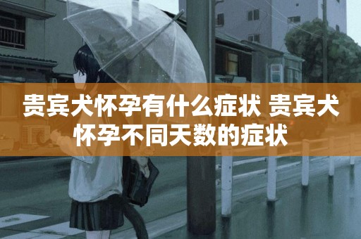 貴賓犬懷孕有什么癥狀 貴賓犬懷孕不同天數的癥狀