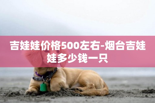 吉娃娃價格500左右-煙臺吉娃娃多少錢一只