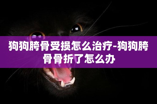狗狗胯骨受損怎么治療-狗狗胯骨骨折了怎么辦