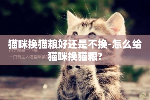貓咪換貓糧好還是不換-怎么給貓咪換貓糧?