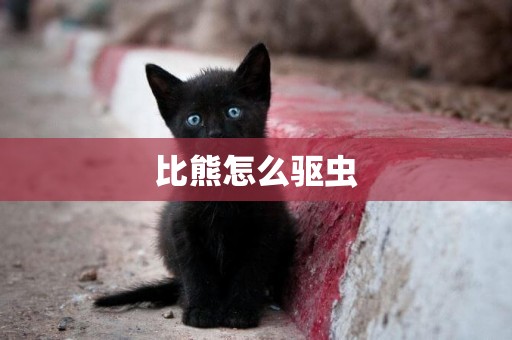比熊怎么驅蟲