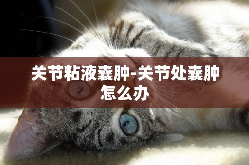 關節粘液囊腫-關節處囊腫怎么辦