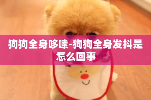狗狗全身哆嗦-狗狗全身發抖是怎么回事